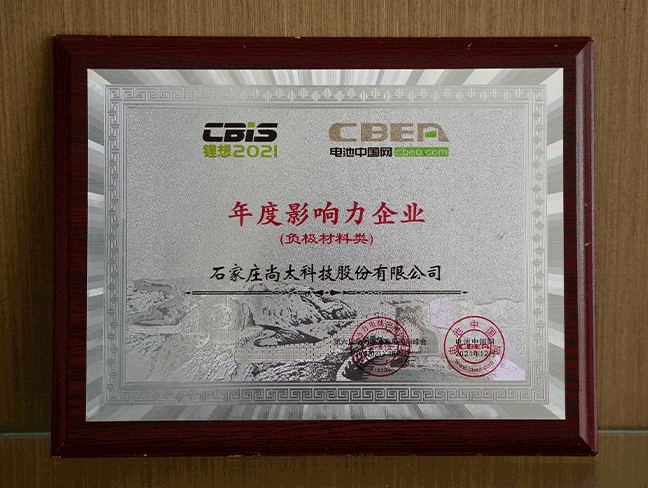 中国电池网-2021年度影响力企业（负极质料类）.png